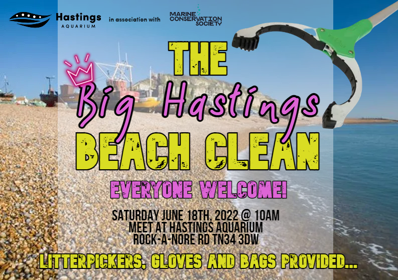 The Big Hastings Beach Clean